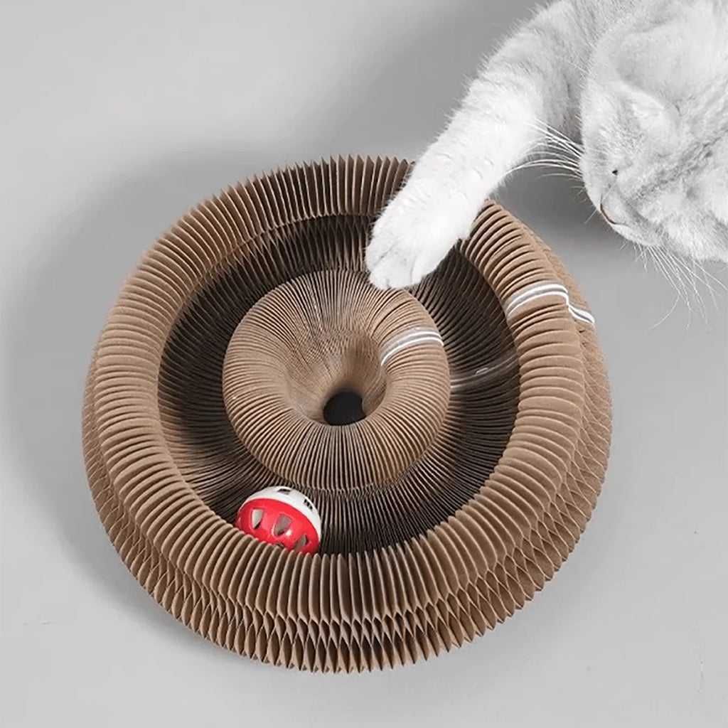 Griffoir accordéon pour chaton